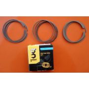 КОЛЬЦА ПОРШН.97.00 дв.А274 Evotech 2,7 (4шт.) ''G-part'' (ОРИГИНАЛ)